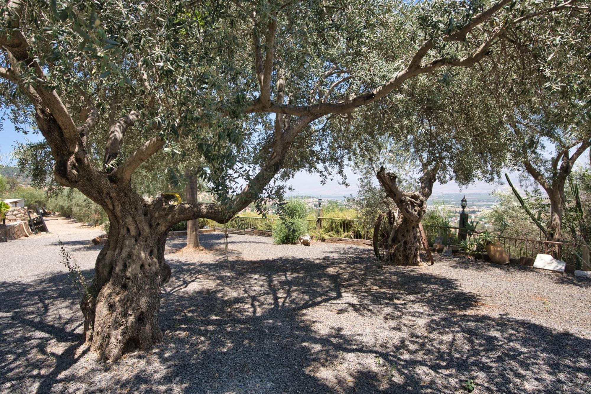 Hameiri Estate Rosh Pinna Εξωτερικό φωτογραφία
